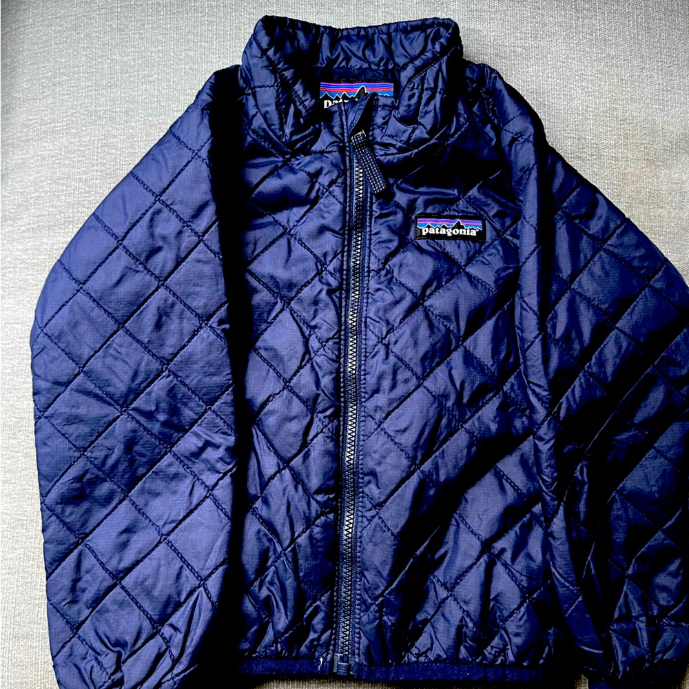 Patagonia down sweater